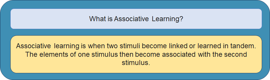 What is Associative Learning?