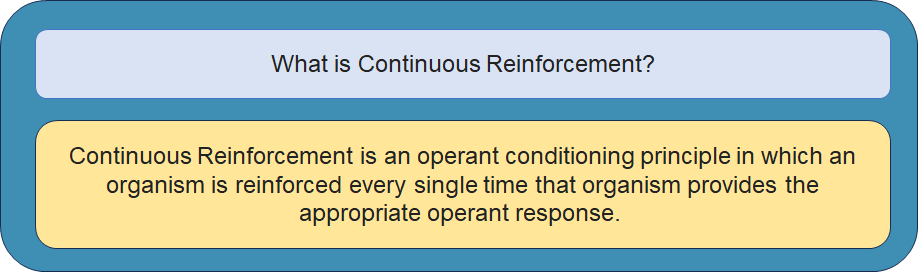 What is Continuous Reinforcement?
