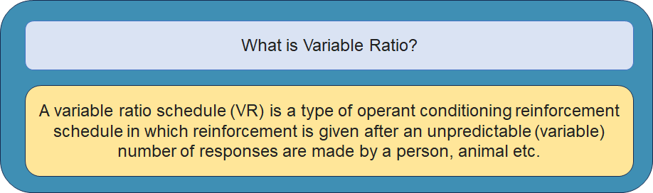 What is Variable Ratio Schedule (VR)?