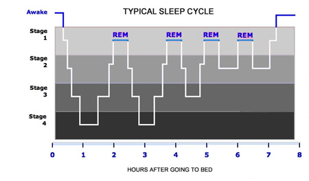Image result for deep sleep muscle recovery